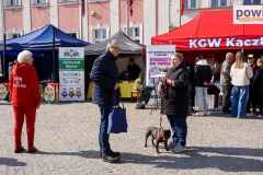 jarmark-rydzyna-00125