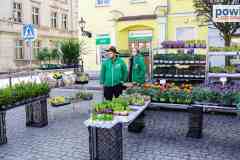 jarmark-rydzyna-00140