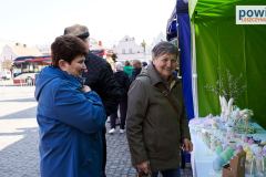 jarmark-rydzyna-00147