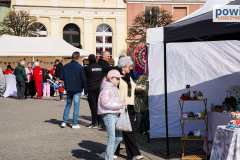 jarmark-rydzyna-00152