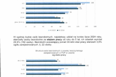 Sytuacja-na-Rynku-Pracy-w-Powiecie-Leszczynskim-008