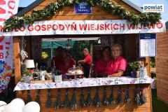 dzien-powiatu-leszczynskiego-wloszakowice-dzem-339