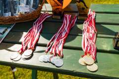Turniej-o-Puchar-Wojta-Gminy-Lipno-047