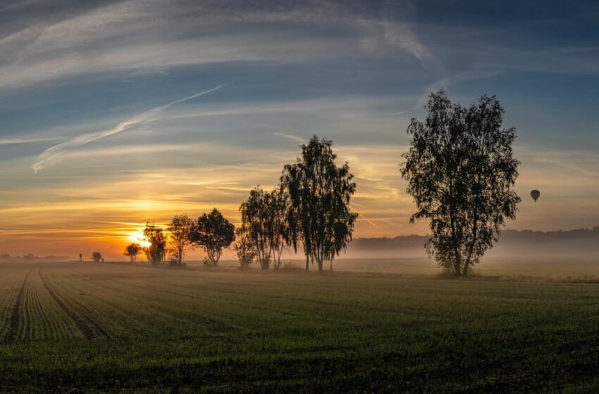  „Piękno przyrody Powiatu Leszczyńskiego” – wyniki konkursu fotograficznego