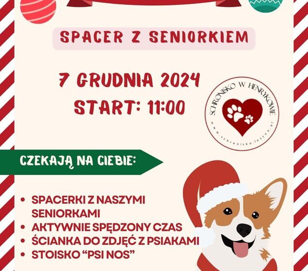  Spacer z Seniorami w Schronisku w Henrykowie – już 7 grudnia!