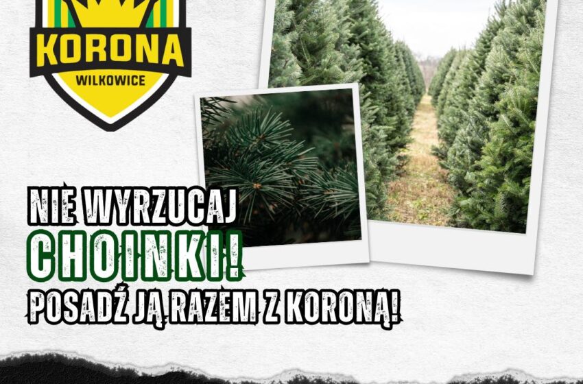  Wspólne sadzenie choinek z Koroną Wilkowice! 🌲💚