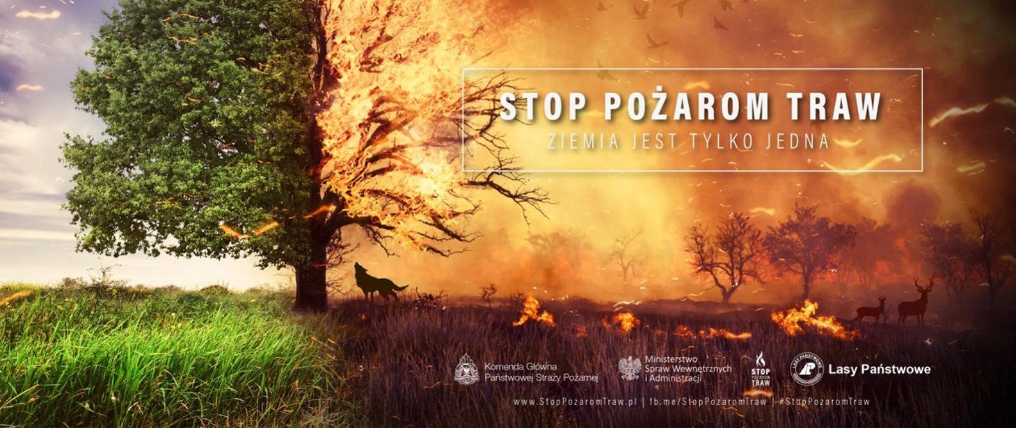 Stop Pożarom Traw – Kampania PSP Przeciwko Niebezpiecznemu Wypalaniu