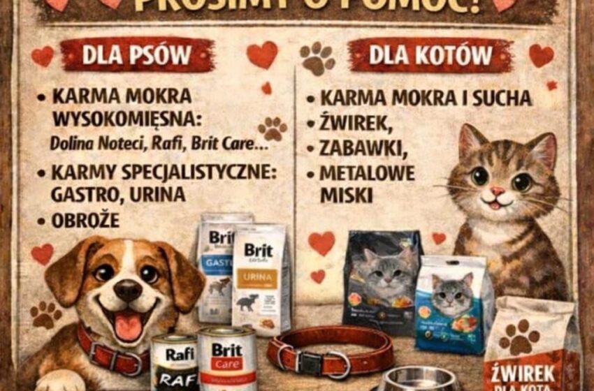  Zbiórka darów dla Przytuliska dla zwierząt w Poniecu