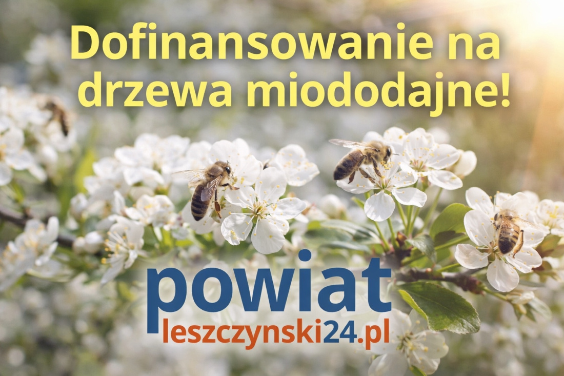 Wsparcie na drzewa miododajne trafiło do regionu leszczyńskiego