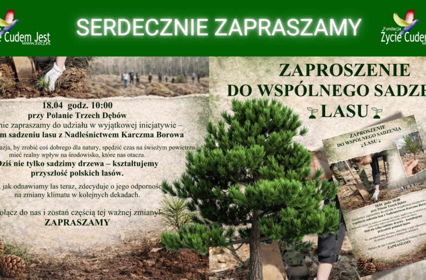  Wspólne sadzenie lasu