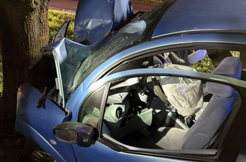  19-latka uderzyła autem w drzewo